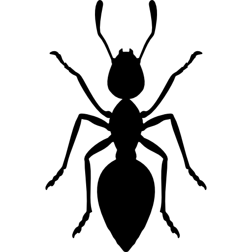 formiga