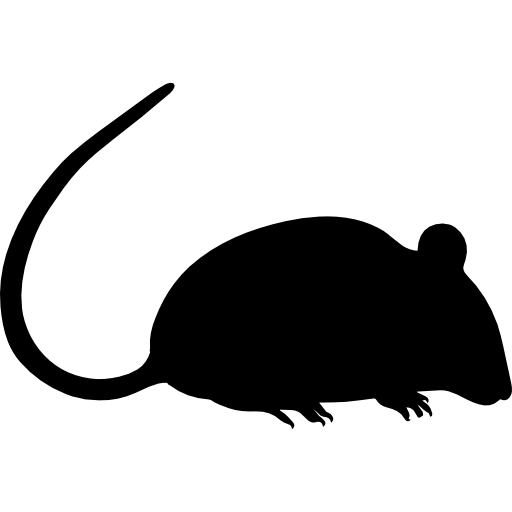 silhueta de rato